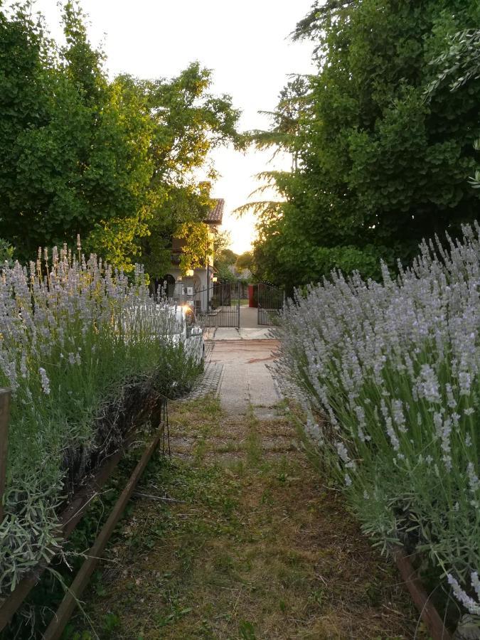 Falco Bianco San Daniele del Friuli Zewnętrze zdjęcie