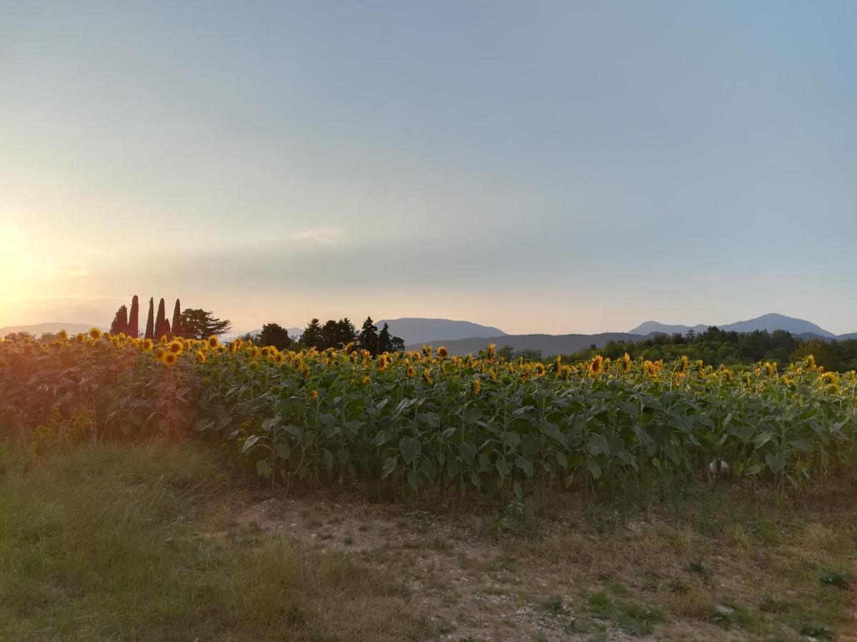 Falco Bianco San Daniele del Friuli Zewnętrze zdjęcie